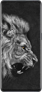 Силиконовый чехол Лев для Oppo Find X5 - 1080u-2602 изображение 