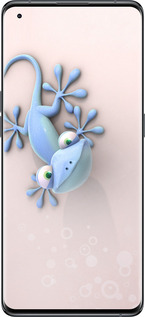 Силиконовый чехол Геккончик для Oppo Find X5 - 1094u-2602 изображение 