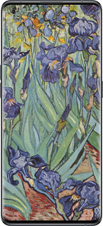 Силиконовый чехол Винсент Ван Гог. Ирисы для Oppo Find X5 - 161u-2602 изображение 