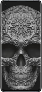 Силиконовый чехол skull-ornament для Oppo Find X5 - 4101u-2602 изображение 