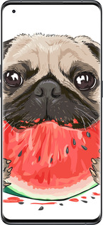 Силіконовий чехол Мопс і кавун для Oppo Find X5 - 4665u-2602 изображение 