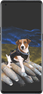 Силиконовый чехол Патрон для Oppo Find X5 - 5320u-2602 изображение 