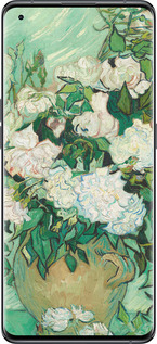 Силиконовый чехол Винсент Ван Гог. Ваза с розами для Oppo Find X5 - 5543u-2602 изображение 