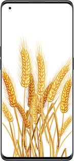 Силиконовый чехол Колоски пшеници для Oppo Find X5 - 5866u-2602 изображение 
