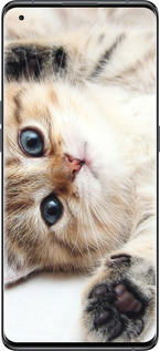 Силиконовый чехол Котик для Oppo Find X5 - 6024u-2602 изображение 
