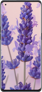 Силіконовий чехол Лаванда для Oppo Find X5 - 6037u-2602 изображение 