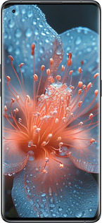 Силиконовый чехол Роса на цветке для Oppo Find X5 - 6039u-2602 изображение 