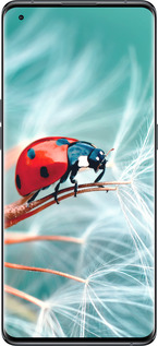 Силиконовый чехол Божья коровка для Oppo Find X5 - 6049u-2602 изображение 