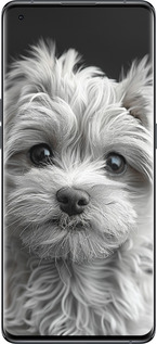 Силиконовый чехол Мальтипу на чорном фоне для Oppo Find X5 - 6156u-2602 изображение 