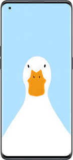 Силиконовый чехол Гусь для Oppo Find X5 - 6350u-2602 изображение 