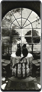 Силиконовый чехол Череп и коты для Oppo Find X5 - 6432u-2602 изображение 