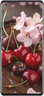 Силиконовый чехол Вишня в шоколаде для Oppo Find X5 - 6698u-2602 изображение 