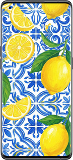 Силиконовый чехол Grocery Girl Italian Summer для Oppo Find X5 - 6766u-2602 изображение 