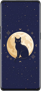 Силиконовый чехол Cute Cat Celestial/Witchy для Oppo Find X5 - 6787u-2602 изображение 
