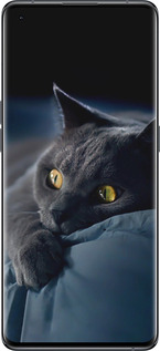 Силиконовый чехол Дымчатый кот для Oppo Find X5 - 825u-2602 изображение 