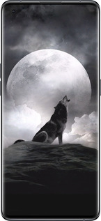 Силиконовый чехол Воющий волк для Oppo Find X5 - 934u-2602 изображение 