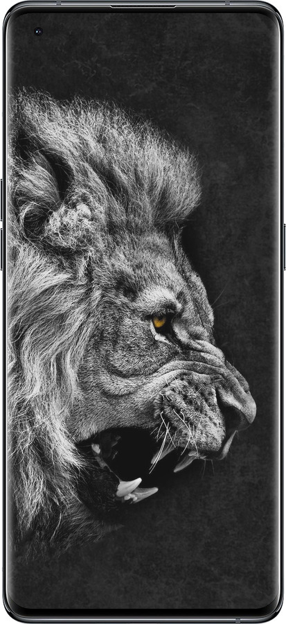 Силиконовый чехол Лев для Oppo Find X5 - 1080u-2602 изображение 