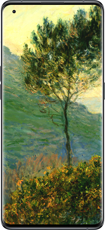 Силиконовый чехол Клод Моне для Oppo Find X5 - 1193u-2602 изображение 