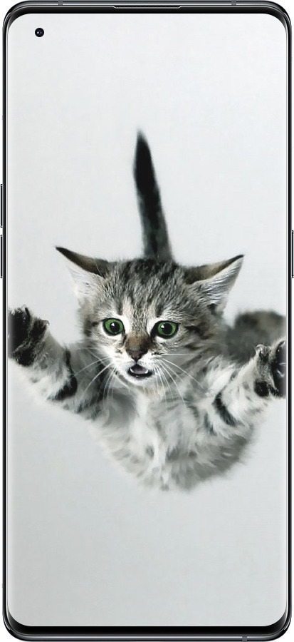 Силіконовий чехол Літаюче кошеня для Oppo Find X5 - 2322u-2602 изображение 