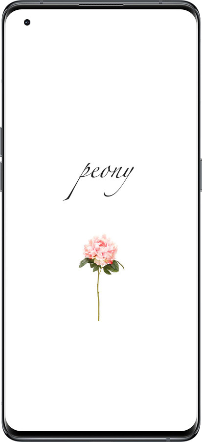 Силиконовый чехол Пион для Oppo Find X5 - 4366u-2602 изображение 