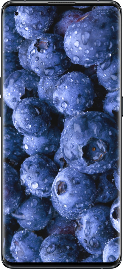 Силиконовый чехол Голубика для Oppo Find X5 - 4459u-2602 изображение 