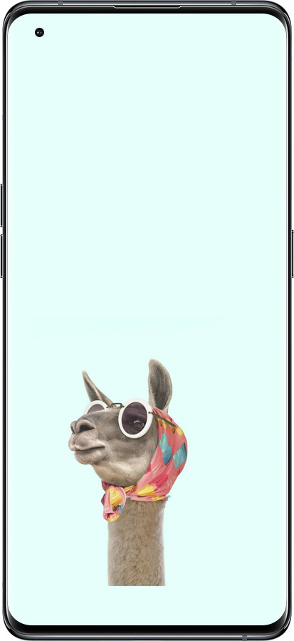 Силиконовый чехол Модная лама для Oppo Find X5 - 4479u-2602 изображение 