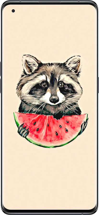 Силіконовий чехол Єнотик з кавуном для Oppo Find X5 - 4605u-2602 изображение 