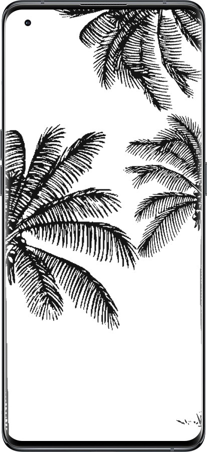 Силиконовый чехол Пальмы1 для Oppo Find X5 - 4634u-2602 изображение 