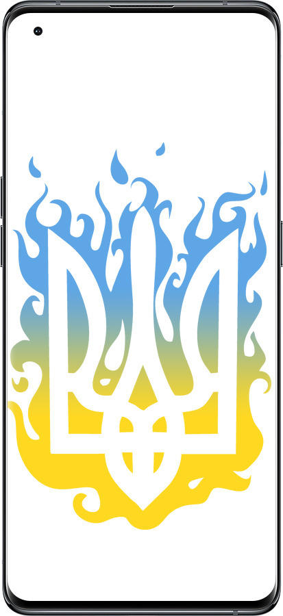 Силиконовый чехол Герб v1 для Oppo Find X5 - 5258u-2602 изображение 