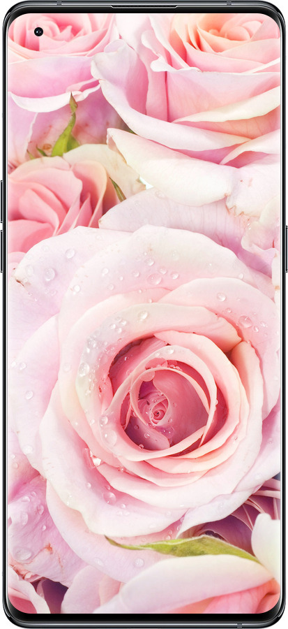 Силиконовый чехол Розы для Oppo Find X5 - 525u-2602 изображение 