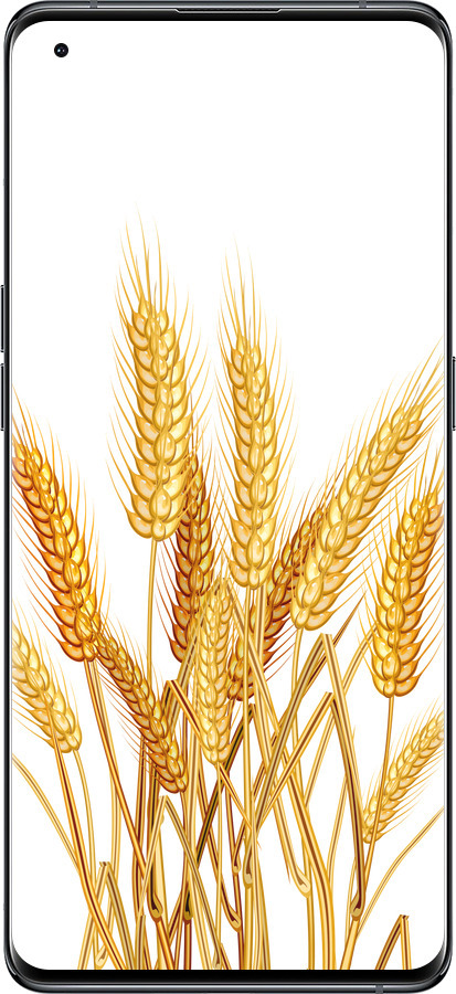 Силиконовый чехол Колоски пшеници для Oppo Find X5 - 5866u-2602 изображение 