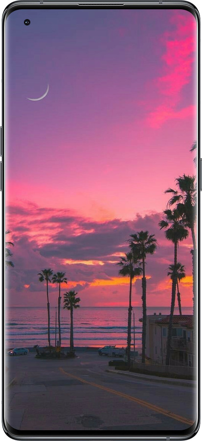 Силиконовый чехол Пальмы для Oppo Find X5 - 5873u-2602 изображение 