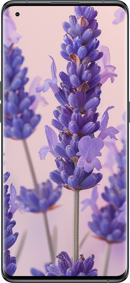 Силіконовий чехол Лаванда для Oppo Find X5 - 6037u-2602 изображение 