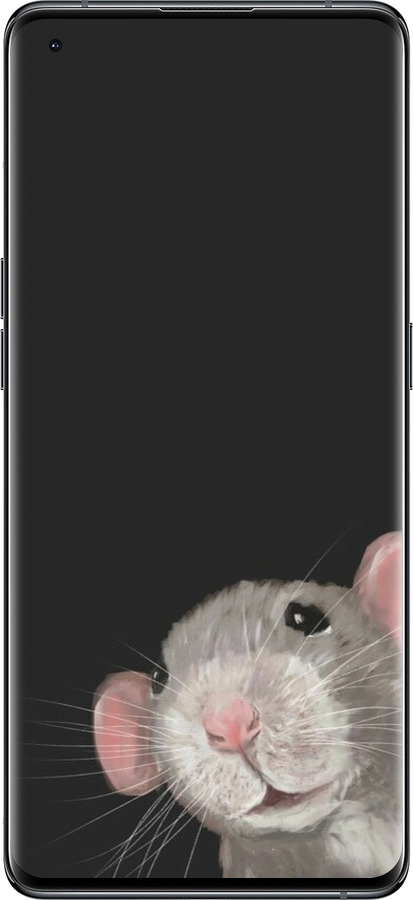 Силиконовый чехол The Peeking Rat для Oppo Find X5 - 6442u-2602 изображение 