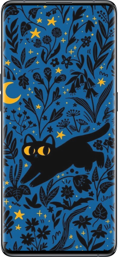 Силиконовый чехол Летняя ночь для Oppo Find X5 - 6472u-2602 изображение 