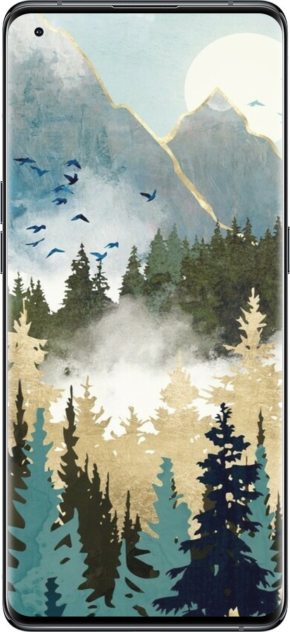 Силиконовый чехол С изображением лесного пейзажа для Oppo Find X5 - 6548u-2602 изображение 