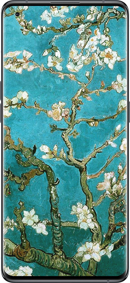 Силиконовый чехол Винсент Ван Гог. Сакура для Oppo Find X5 - 841u-2602 изображение 