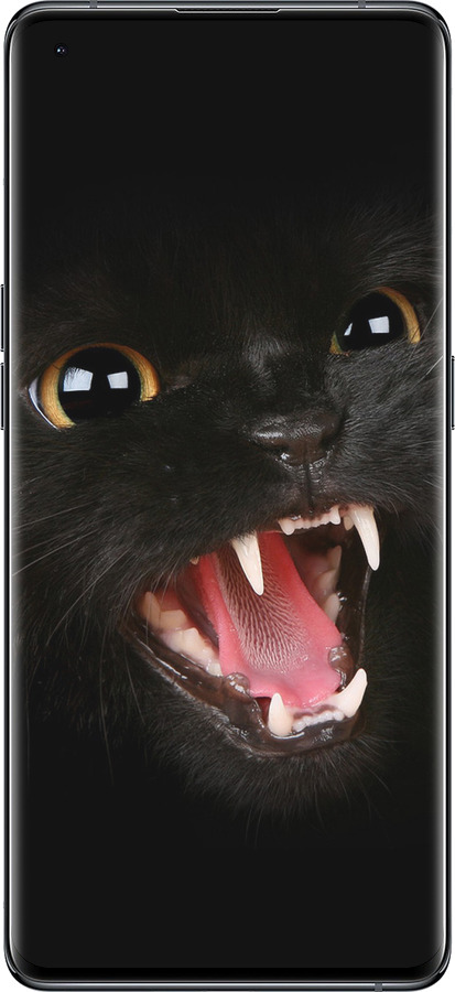 Силиконовый чехол Чёрная кошка для Oppo Find X5 - 932u-2602 изображение 