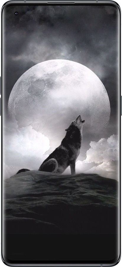 Силиконовый чехол Воющий волк для Oppo Find X5 - 934u-2602 изображение 