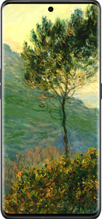 Силиконовый чехол Клод Моне для Oppo Find X6 Pro - 1193u-3041 изображение 