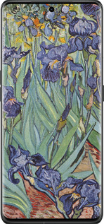 Силиконовый чехол Винсент Ван Гог. Ирисы для Oppo Find X6 Pro - 161u-3041 изображение 