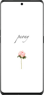 Силиконовый чехол Пион для Oppo Find X6 Pro - 4366u-3041 изображение 