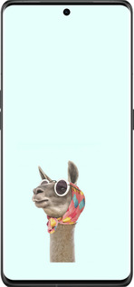 Силіконовий чехол Модна лама для Oppo Find X6 Pro - 4479u-3041 изображение 