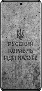 Силиконовый чехол Русский военный корабль иди на v4 для Oppo Find X6 Pro - 5223u-3041 изображение 