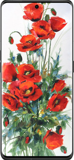 Силиконовый чехол Маки для Oppo Find X6 Pro - 523u-3041 изображение 