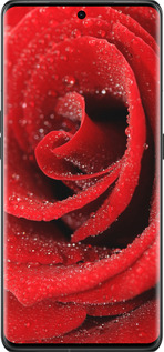 Силиконовый чехол Красная роза для Oppo Find X6 Pro - 529u-3041 изображение 