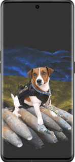 Силиконовый чехол Патрон для Oppo Find X6 Pro - 5320u-3041 изображение 