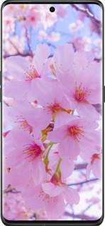 Силиконовый чехол Сакура для Oppo Find X6 Pro - 6029u-3041 изображение 