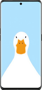 Силиконовый чехол Гусь для Oppo Find X6 Pro - 6350u-3041 изображение 