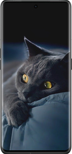 Силіконовий чехол Димчастий кіт для Oppo Find X6 Pro - 825u-3041 изображение 